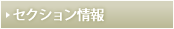 セクション情報