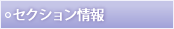 セクション情報